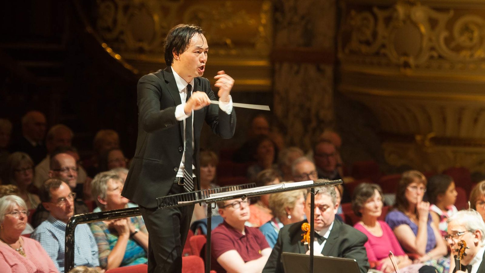 Soundboard — Christopher Tin Steinway & Sons