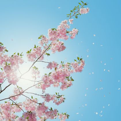 /steinway.com-japan/spirio/spirio_spotlight/april-2022